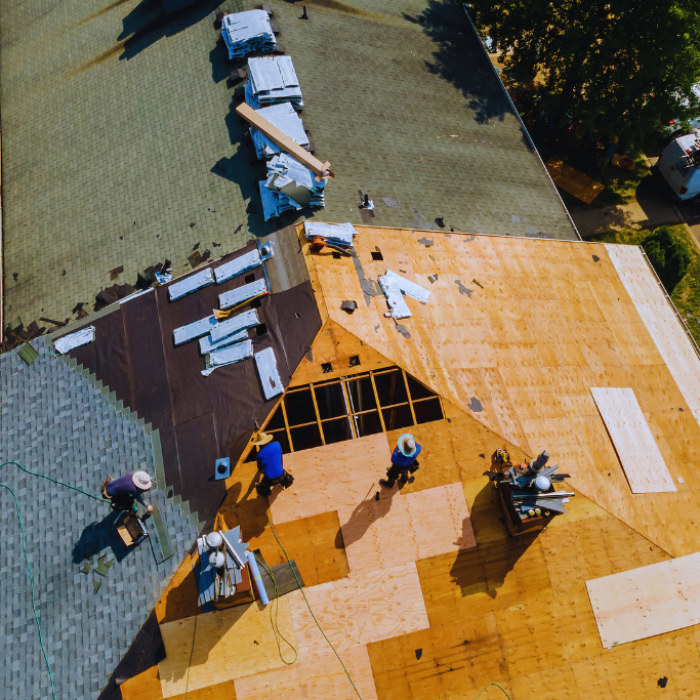 Diseño sin título (40)